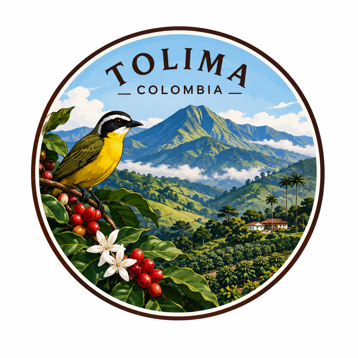Colombia Organic Tolima Region Excelso