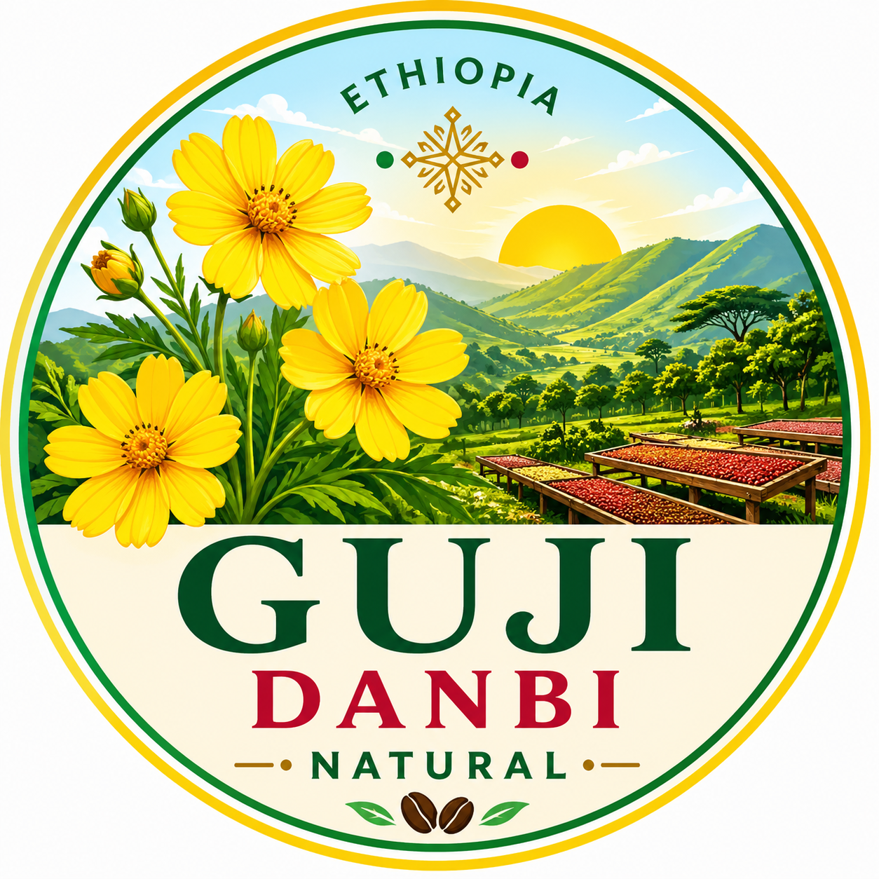 Ethiopia Guji Danbi Udo G2 Natural